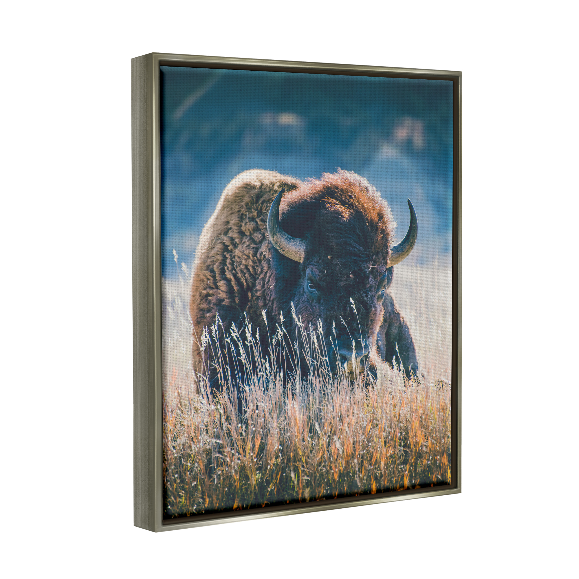 Stupell Industries Bison in Meadow Photography Animals & Insects Photography Gray Floater Framed Art Print Wall Art, 17 x 21