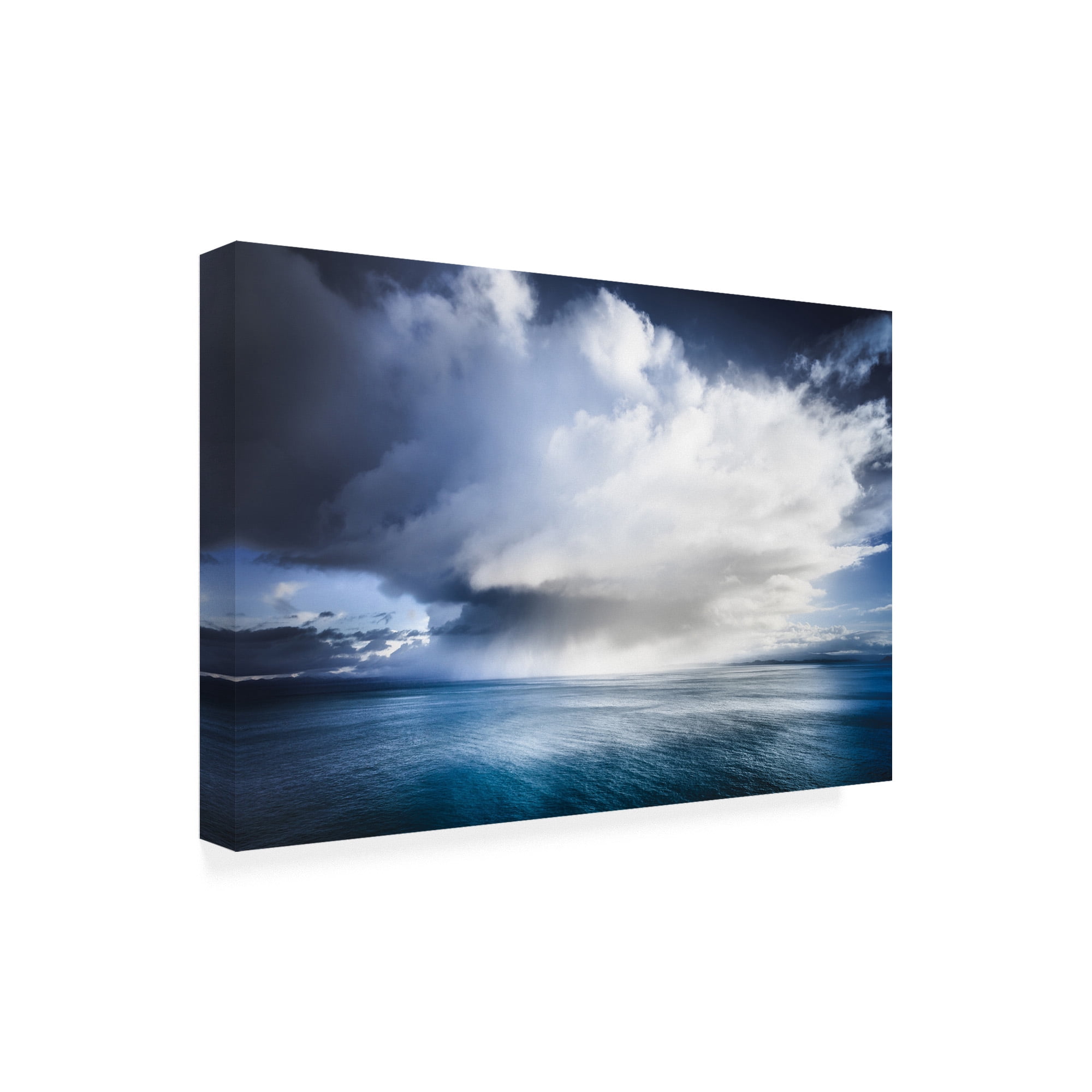 Trademark Fine Art 'Skyestorm 1' Canvas Art by Lynne Dougla
