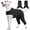Grey, variant on IDOMIK Recovery Suit for Dogs After Surgery, Male & Female Dog Onesie, Neuter & Spay Recovery Suit, Rear Leg Sleeves to Prevent Licking, Blue, XS