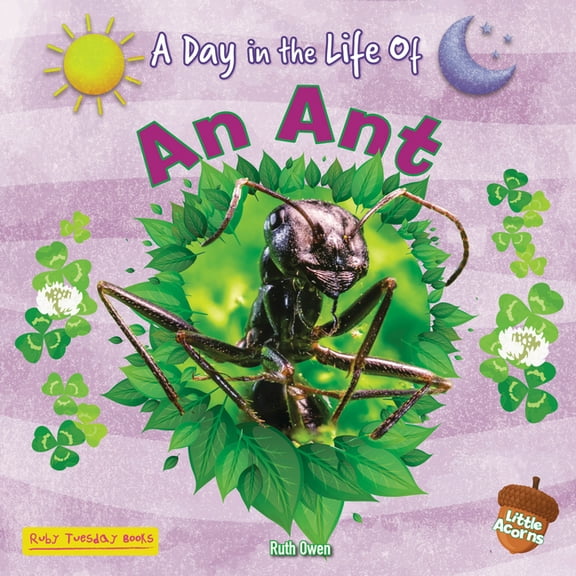 A Day in the Life of (Little Acorns) An Ant, (Paperback)
