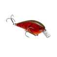 thumbnail image 6 of Strike King KVD Square 1.0 Gizzard Shad, 6 of 6