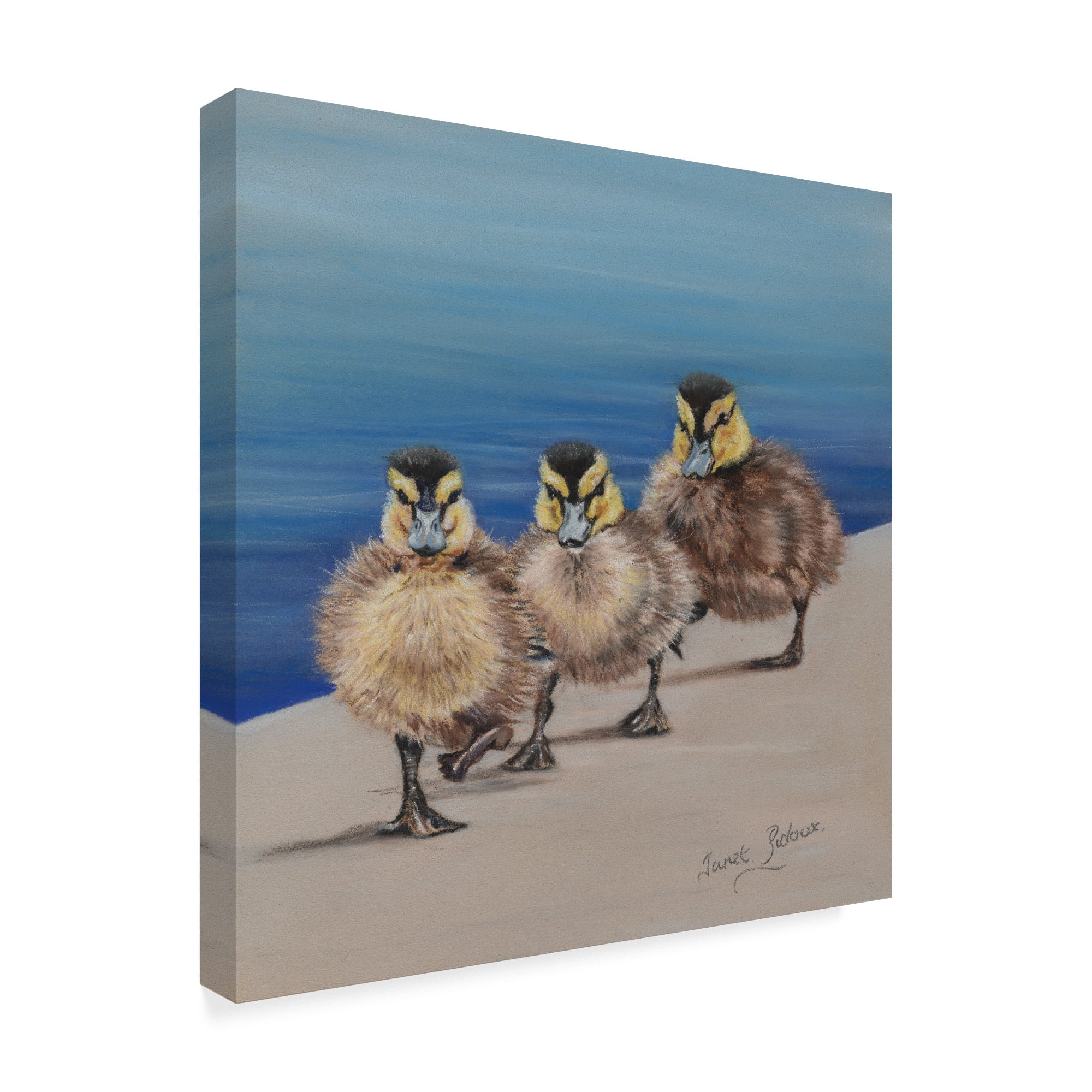 Trademark Fine Art 'Left Right, Left Right' Canvas Art by Janet Pidoux