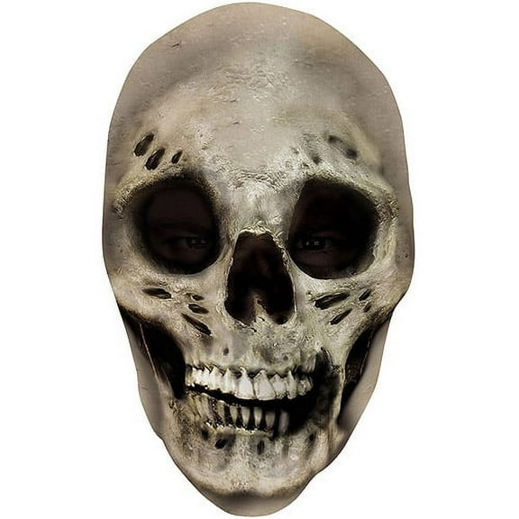 Disguise Costumes Teen Size Scary Evil Skull Nylon Fabric Costume Mask