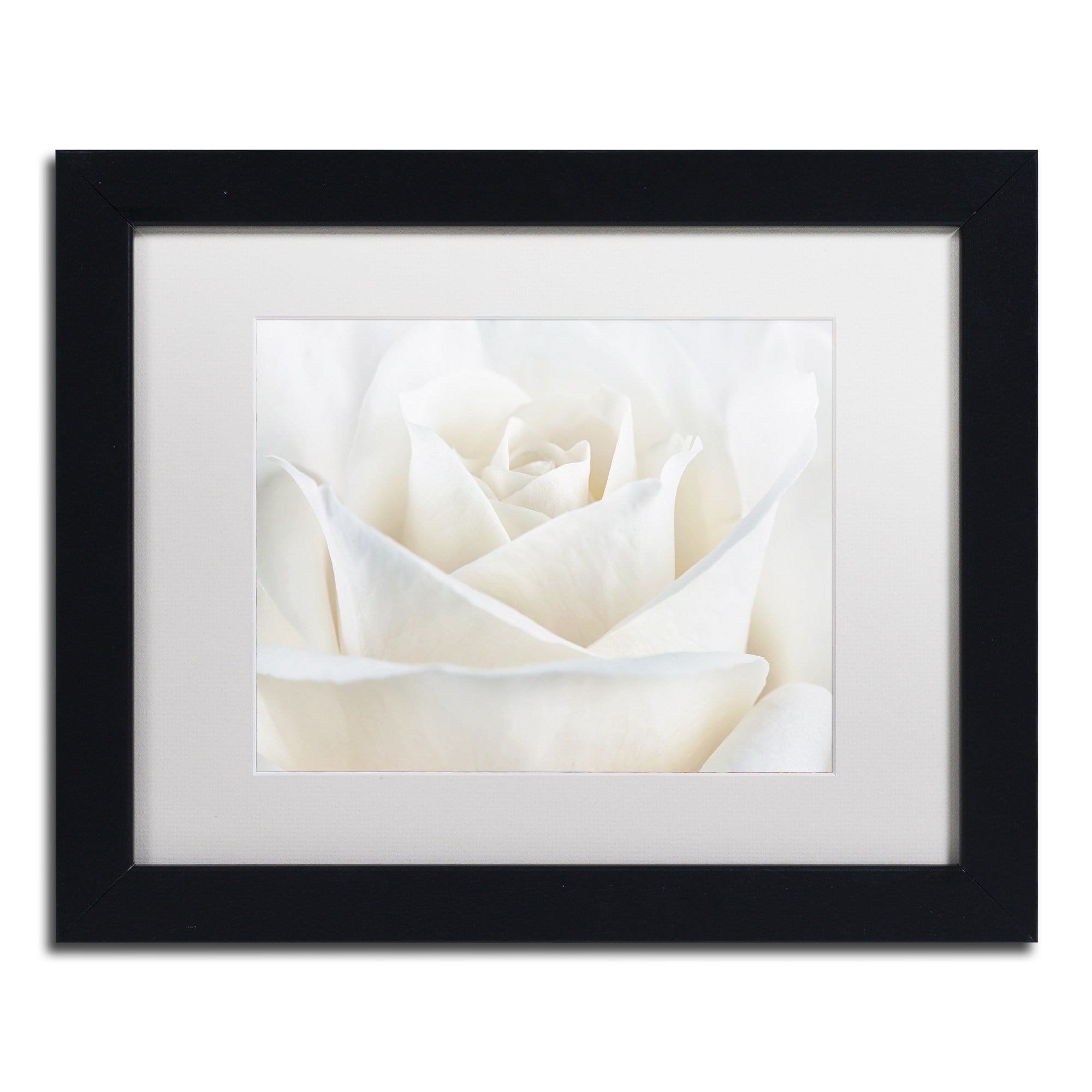 Trademark Fine Art 'Pure White Rose' Canvas Art by Cora Niele, White Matte, Wood Frame
