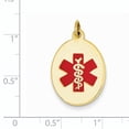 thumbnail image 2 of 14k Yellow Gold Red Enamel Medical Jewelry Pendant Charm, 2 of 2