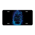 thumbnail image 1 of SignMission A-LP-03-437 Plaque d'Immatriculation en Aluminium Pirate Storm, 1 of 1
