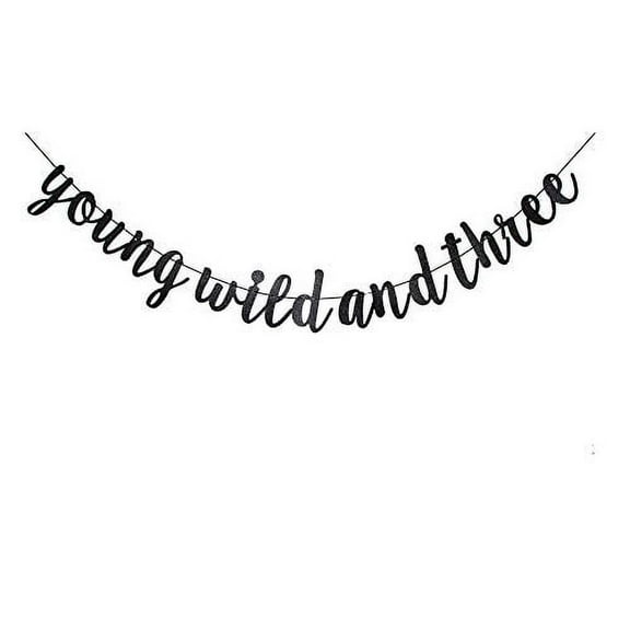 Young Wild and Three Banner, Black Birthday Party Sign Bunting, Boy's Or Girl's 3rd Birthday Party Decorations