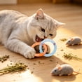 thumbnail image 4 of Soft Mesh Tube Donut Cat Toy with Bells, Interactive Teething Chew Ring for Indoor Cats, Crinkle Voice Kicking Toy for Tooth Th, Blue, by IHXORA, 4 of 6