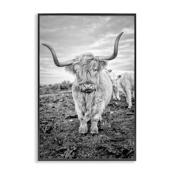 Stupell Industries Farmhouse Longhorn Calf Family Black Framed Giclee Art, 12 x 18, by Jasper Huish