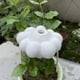thumbnail image 4 of Resina curiosidad diaria plantas decorativas nubes de riego arcoíris jardín patio decoración práctica, 4 of 11