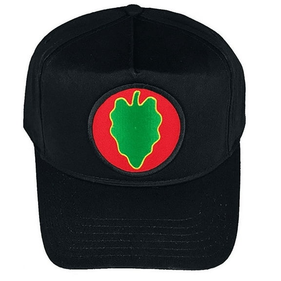 US ARMY 24TH ID INFANTRY DIVISION INF DIV HAT CAP TARO SOLDIER VETERAN