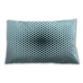 thumbnail image 1 of Ahgly Company Outdoor Rectangular Contemporary Lumbar Throw Pillow, 13 inch by 19 inch, 1 of 5