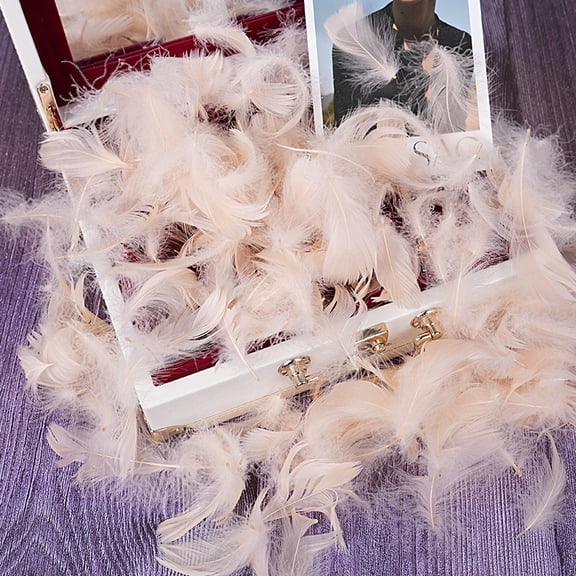 XmhyTop-A 100PCS Fake Goose Craft Feathers - Soft, Natural-Look Feathers for DIY Arts, Decor & Crafts-Beige