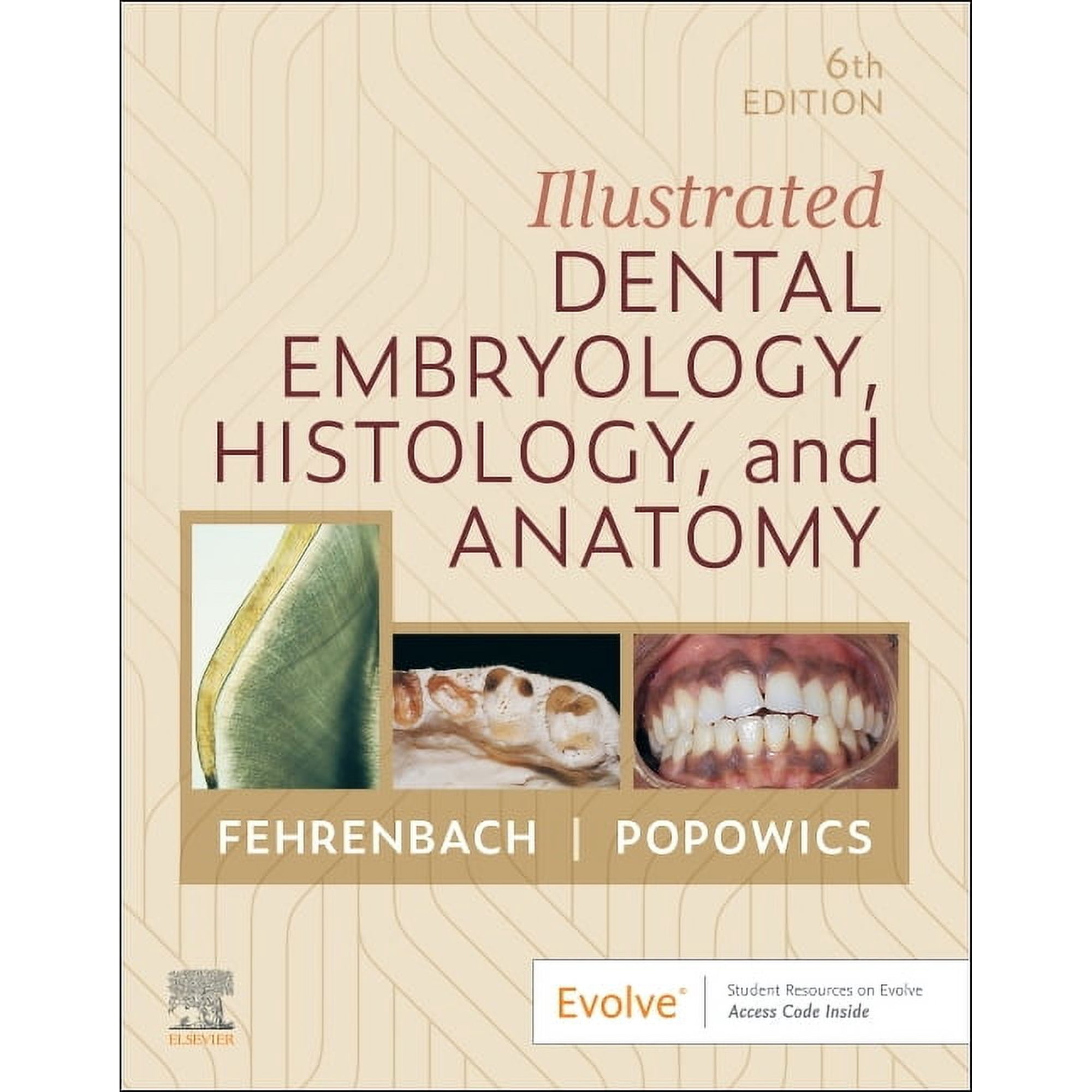 Illustrated Dental Embryology, Histology, and Anatomy, (Paperback)