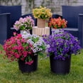 thumbnail image 3 of Boreal Craft Flower Storage Containers Wedding Flower Wedding Items for Reception Random Colorful Flower Home Flowers Lifelike Flowers For Indoor Outdoors Wedding Home Bouquet Latex, 3 of 3