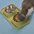 thumbnail image 5 of Stainless Steel Double Dog Food Bowls with Non-Spill Plastic Mat, 5 of 5
