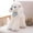 White, variant on High Poodle Stuffed Toy Dog with Scarf Cute Realistic Animal Doll for Kids and Children