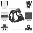 thumbnail image 6 of Lsque Sunset Ocean Watercolor Dolphin Dog Harness, No-Pull Pet Harness with 2 Leash Clips, Adjustable Soft Padded Dog Vest with Easy Control Handle for Large Dogs-Large, 6 of 9