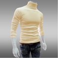 thumbnail image 1 of Suéter de manga larga de color liso con cuello alto y talla grande para jóvenes de talla 20, para primavera, otoño e invierno, venta al por menor, 1 of 6