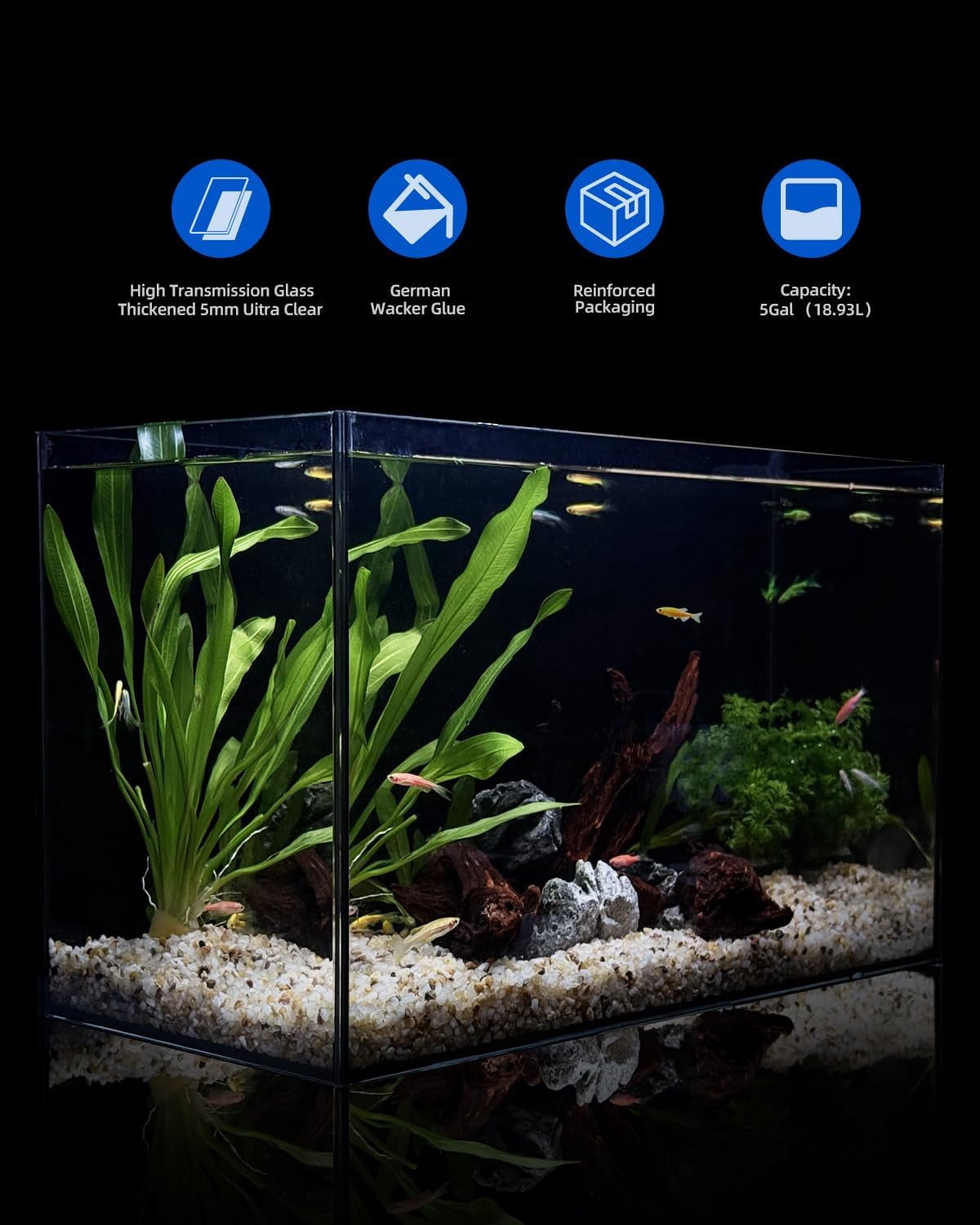 2.5 Gallon Clear Glass Aquarium for Betta Fish, Goldfish, Snails, Shrimp and Live Aquatic Plants