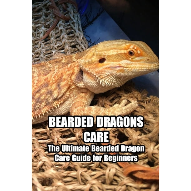 Bearded Dragons Care The Ultimate Bearded Dragon Care Guide for