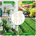 thumbnail image 5 of Enrejado de Madera para Plantas Trepadoras Pothos, Interior con Forma Panal 16 Pulgadas, Resistente A los Rayos UV, Jardín, 5 of 5