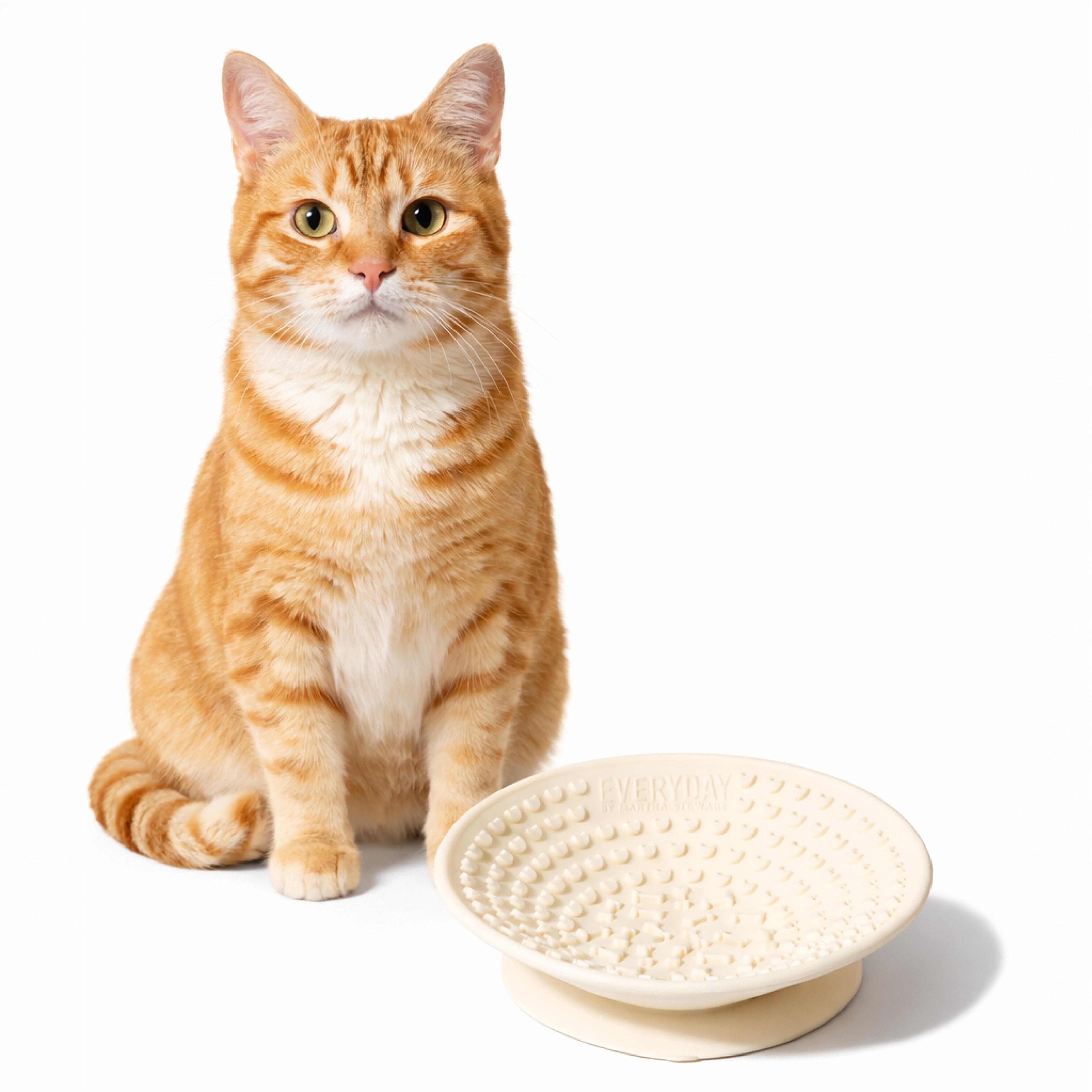 Martha Stewart Occupy Lick Bowl Cream Pet Feeder for Dogs