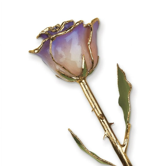 24k Gold Plated Trim White and Blue Opal Rose