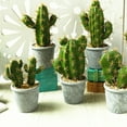 thumbnail image 3 of Visland Mini Artificial Cactus Plants - Artificial Succulent in Pots, 3 of 5