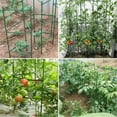 thumbnail image 5 of 24Pcs Garden Vegetables Stakes For Plant Cage Support Tomato Cage For Vertical Climbing Plants For 11mm Stake, 5 of 6