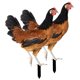 thumbnail image 5 of DEEPCRAFF 2Ud Ornamentación De Jardín Con Estacas De Gallina Acrílica Y Detalles Coloridos, 5 of 8