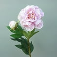 thumbnail image 6 of Visland Artificial Peony Flower Suitable for Living Room, Dining Table, Office, Wedding, Hotel Banquet and Family Decoration, 6 of 7