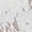 hwj# White459, variant on Huowey Women Fashion Casual Shorts Stylish Lace Trim High Waist Wide Leg Breathable Lightweight Comfortable Soft Elegant Pettipants Patchwork Ripped Casual Beach Hot Shorts,Black,L