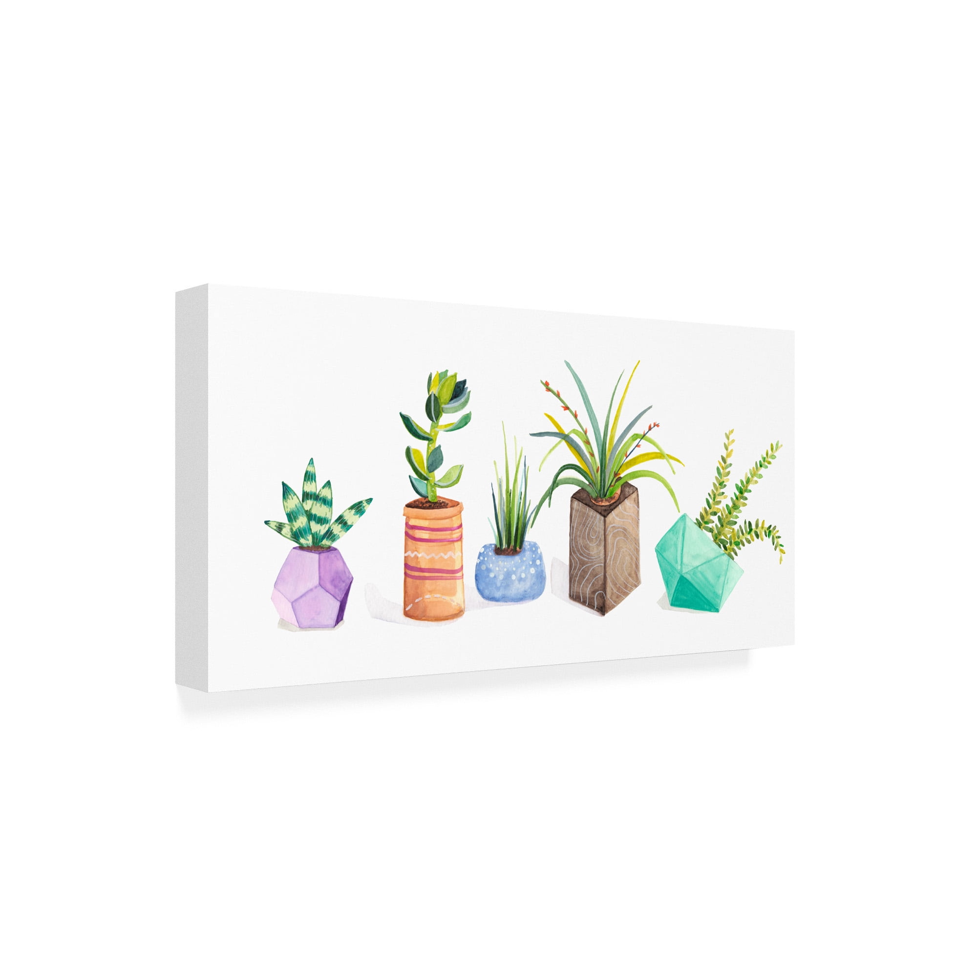 Trademark Fine Art 'Succulent Display I' Canvas Art by Rebekah Ewer