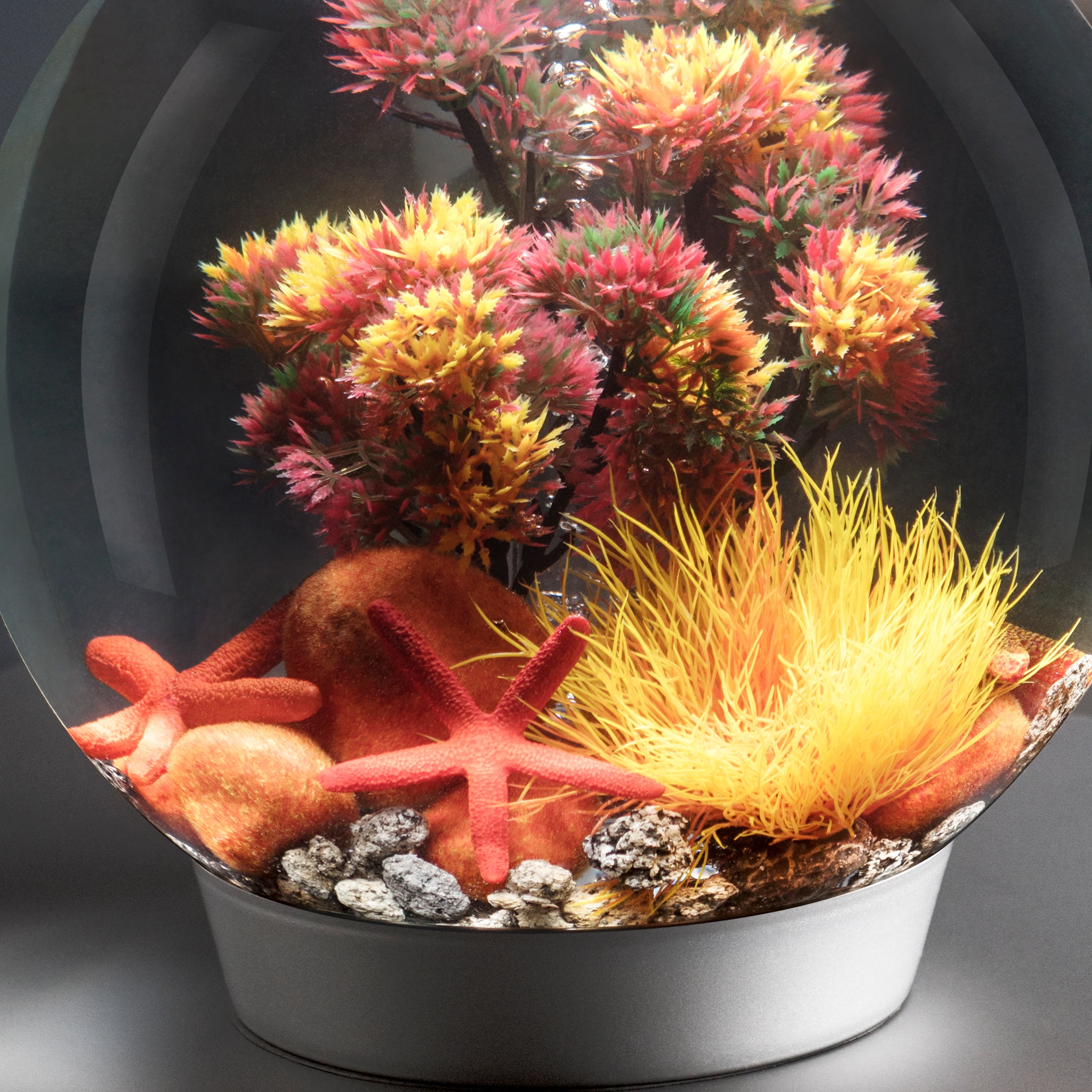 biOrb Red Starfish Set - Small Aquarium Decor