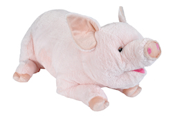 pig lover gift love my pig farm life towel show pig Pig towel pig love all you need is love and a pig Pig show towel