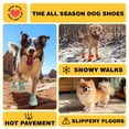 thumbnail image 4 of Zapatos para perros Hcpet impermeables y antideslizantes para perros grandes, color caqui, 4 of 6