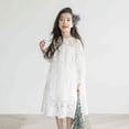 thumbnail image 3 of Vestidos de niña, primavera y verano, vestidos de encaje para niños, vestidos de malla, vestidos de princesa para niños, 3 of 6