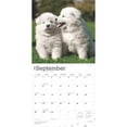 thumbnail image 4 of Samoyeds | 2025 12x24" (Hanging) Square Wall Calendar | Plastic-Free | BrownTrout, 4 of 9
