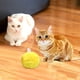 thumbnail image 3 of Catnip Sonidos de chirrido esponjosos Juguetes pa gatos Zulema Bola de catnip, 3 of 8