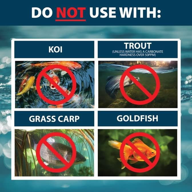 Airmax Algae Defense, EPA-Registered Algaecide for Scum & Chara, Pond & Lake Treatment, 1 Gallon