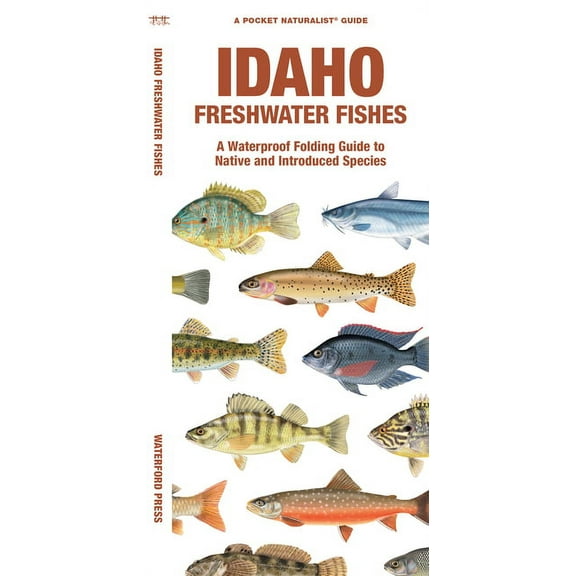 Idaho Freshwater Fishes : A Waterproof Folding Guide to Native and Introduced Species (Paperback)
