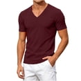 thumbnail image 6 of LEKWK V Neck T-Shirts for men Short Sleeve Casual Summer Tops Slim Fit Muscle Athletic Shirts Lightweight Breathable Basic Pullover Tees for Workout Gym Training Wine M, 6 of 8