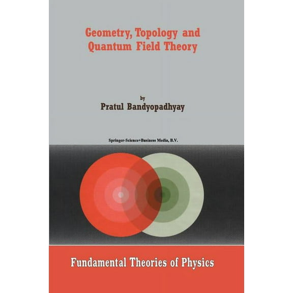 Fundamental Theories of Physics Geometry, Topology and Quantum Field Theory, Book 130, (Paperback)