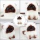 thumbnail image 3 of Ragdoll Cat Plush Doll Cat- 20cm Stuffed Animal Cats Plushies Home Decor Ornaments For Kids Children Girls Boys Gifts BDW, 3 of 5
