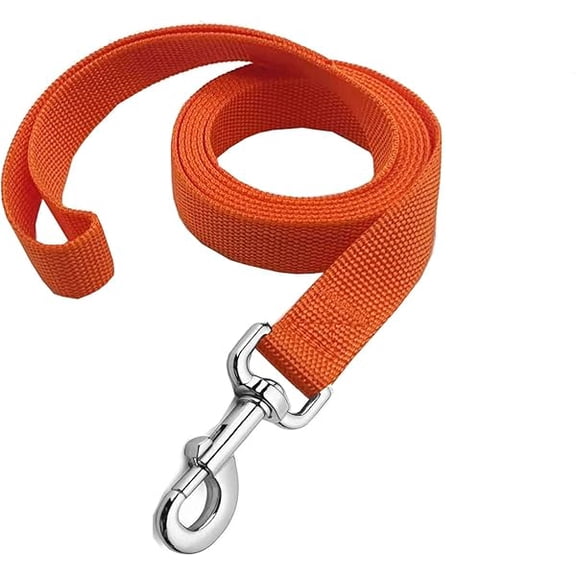 Eryueer Strong Nylon Dog Leash, 4FT/ 5 FT/ 6FT Dog Leashes for Medium Large Dogs (5FT, Orange)