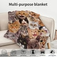 thumbnail image 6 of Kainsy Cat Throw Blanket Flannel Fleece Cat Blanket Cat Lovers Gifts for Women Kids Cat Blanket for Couch Bed Cat Themed Gifts Cat Lover Blanket inches(30"x40"), 6 of 7