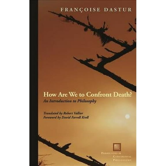 How Are We to Confront Death?: An Introduction to Philosophy (Perspectives in Continental Philosophy)