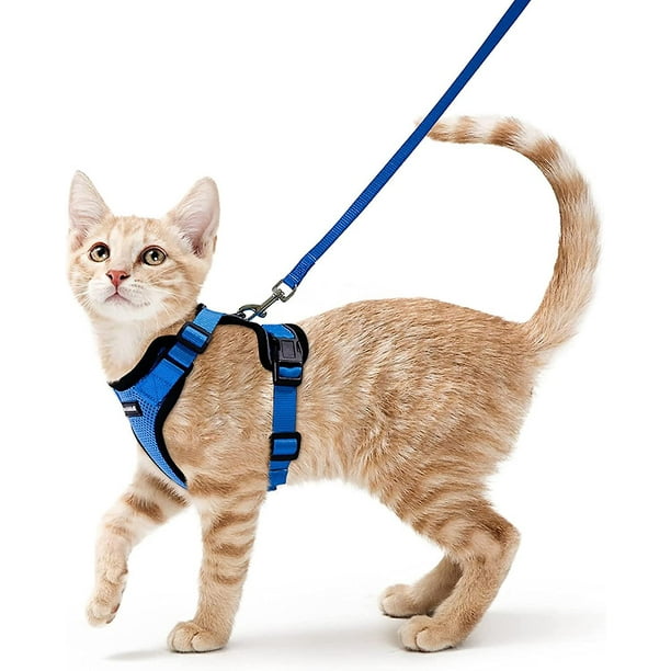 Arnés para gatos azul XS, correa para perros pequeños, arnés para gatitos, arnés reflectante ajustable para gatos, chaleco transpirable para conejos, gatos europeos, Maine Coon, Pers