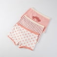 thumbnail image 5 of Godderr 3PCS Toddler Baby Cotton Underwear Kids Girls Comfort Panties Comfort Classic Panties Underwear for 1-10Y, 5 of 5